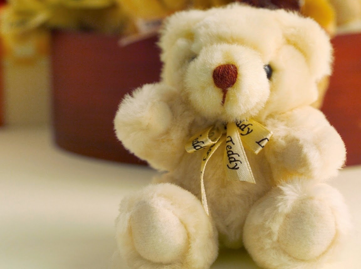 Most beautiful teddy on sale